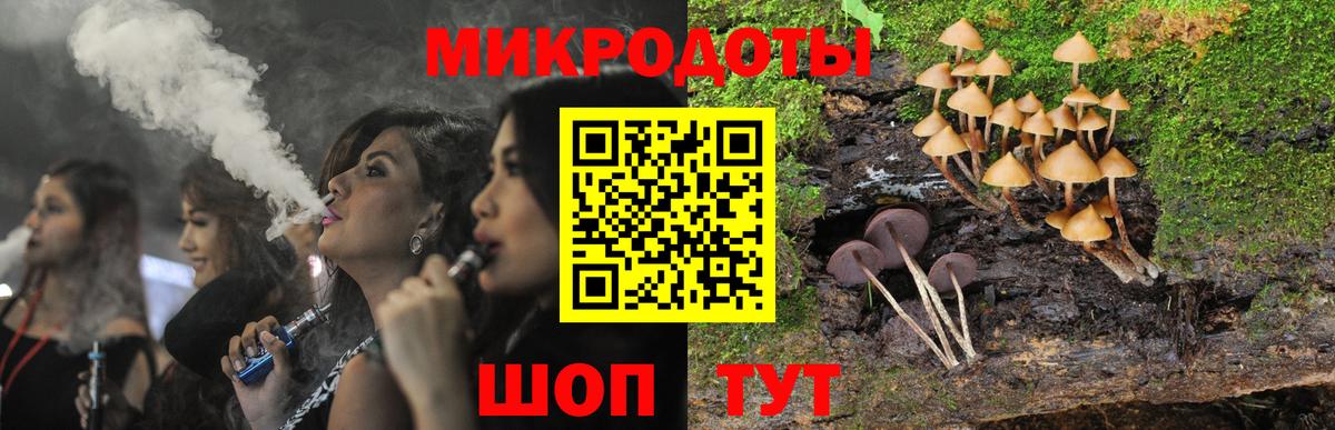 Котлас  наркотики  Галлюциногенные грибы мухоморы  Вход с VPN  Псилоцибиновые грибы Psilocybe 